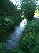 Rivière coulant entre deux fossés enherbés le long d'une petite route.