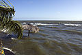 Litus ad Playa Santo Domingo, Isla de Ometepe.