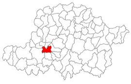 Location in Arad County