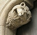 Mocheta en la Puerta del Perdón. Basílica San Isidoro de León. Cabeza de oso (o perro).