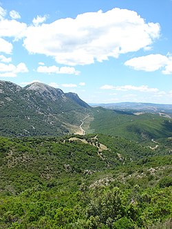 Skyline of Lula