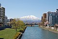 2010年3月7日 (日) 16:04時点における版のサムネイル