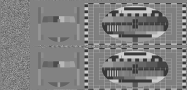 PM5544 pattern featured in a simulated MAC transmission; from left to right: digital data, chrominance and luminance. Both fields (odd and even lines) are shown.