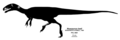 Updated skeletal diagram