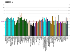 PBB GE RFX1 222012 в fs.png