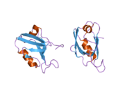 2awu: Synapse associated protein 97 PDZ2 domain variant C378G