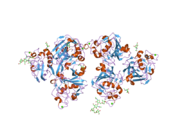 2j0g: L-FICOLIN COMPLEXED TO N-ACETYL-MANNOSAMINE