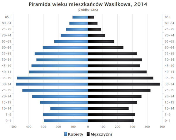 Piramida wieku Wasilkow.png