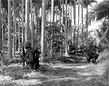 The Thai Queen's Cobra battalion in Phuoc Tho Queen's Cobras Conduct a Search and Sweep Mission in Phuoc Tho, 11-67 2.jpg