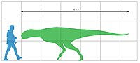 Quilmesaurus size
