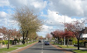 R112 road (Templeville Road).jpg