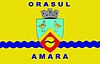 Flag of Amara