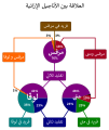 تصغير للنسخة بتاريخ 22:33، 20 مارس 2021