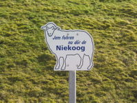 Jem fohren nu dör de Niekoog