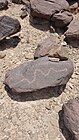 Snake motif on petroglyph. Snake motifs are a common characteristic of Iron Age decorations in the United Arab Emirates.