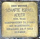 Stolperstein für Schafte Israël Adler