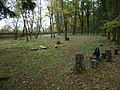 Jüdischer Friedhof zwischen Souměř (Zummern) und Stráž (Neustadtl)