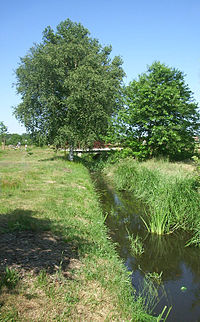 Struga (Fluss)