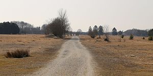 Trockenrasen, NSG Südliche Fröttmaninger Heide, Oberschleißheim