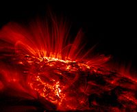 TRACE image of sunspots