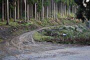 峠と交差している兵庫林道千町・段ヶ峰線