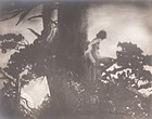 The Pine Sprite (1907) - Tirage argentique - Museum of Photographic Arts of San Diego