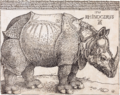 Známá kresba perem od německého malíře Albrechta Dürera z roku 1515, Lisabon