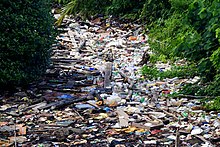Wastes seen piling up along a stream in Kampong Ayer. The water village. Rubbish (8619138720).jpg