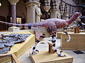 Utahraptor model