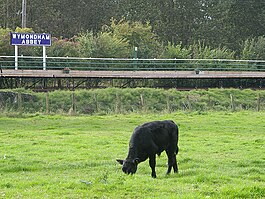 Wymondham Abbey Halt.jpg