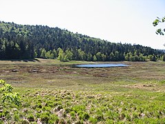 Tourbière de Machais[2].