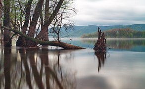 Freshet en el río Volga dentro del parque