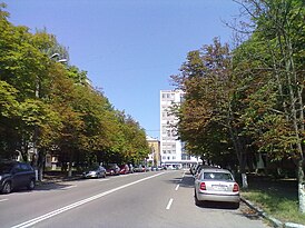 ул. Героев Севастополя, вид на перекресток с бульваром Вацлава Гавела