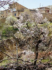 تصویری از روستای زیبای تجره (ساوه)