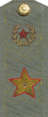 погон 1980