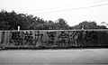 2007年警告马英九将使黑金复辟的路面涂鸦（台中）