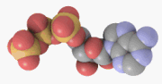 Adenozyno-5'-trifosforan