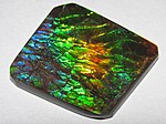 Thumbnail for File:Ammolite from Placenticeras fossil ammonite (Bearpaw Formation, Upper Cretaceous, 70-75 Ma; mine in St. Mary River Valley, Alberta, Canada) 11 (39534751430).jpg