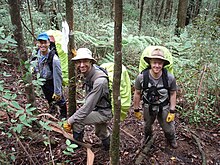 BSAR searchers at Mount Dom Dom. BSAR searchers at Mount Dom Dom P3260158.JPG