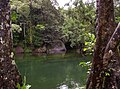 The main swimming hole