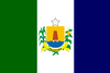 帕莱斯蒂纳 (阿拉戈斯)旗幟