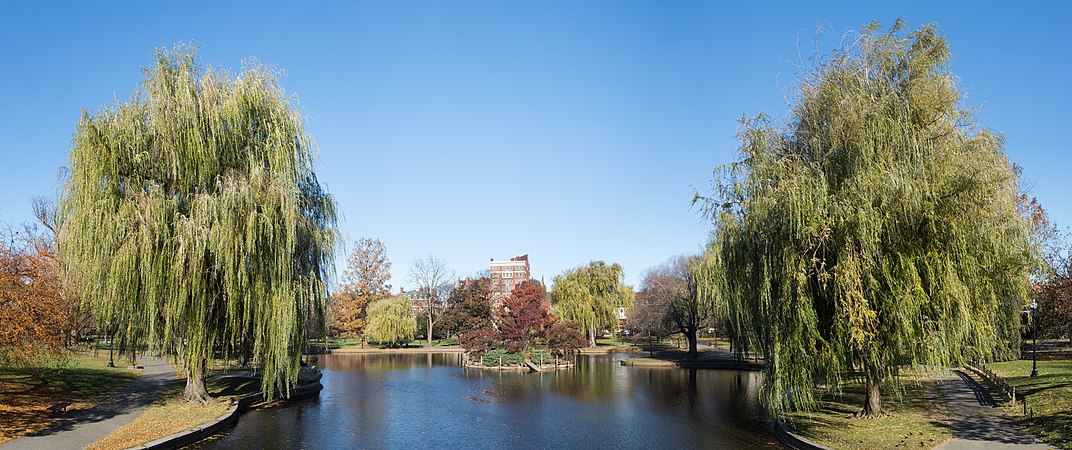 2019年11月的波士頓公共花園，位於美國麻薩諸塞州波士頓。