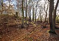 Burg Reineberg mit vorgelagerten Wehranlagen und Meesenburg