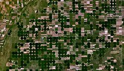 Satellite view of Lewis and surrounding Center pivot irrigation farms (2005)