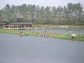 Рыболовы на прудах у города Дае (округ Хуанши)