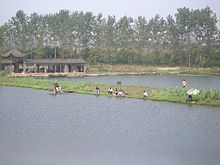 Fishing in a fish pond system at Daye Lake near Daye, China Daye-pond-system-fishermen-0077.jpg