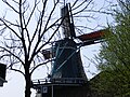 de molen vanaf het Zeilenmakerspad