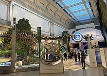 Deep Time exhibit, prominently featuring skeleton of Diplodocus Deep Time exhibit at the Smithsonian NMNH.jpg