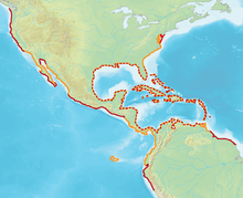 Distribution Map Brown Pelican (Pelecanus occidentalis).png