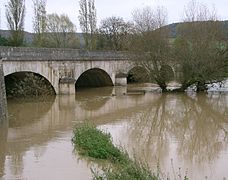 Domrémy-la-Pucelle, la Meuse grossie par les pluies d'automne.